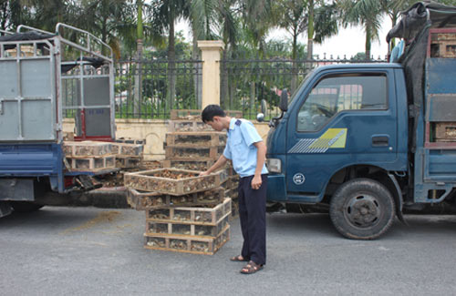 Gà[-]lậu[-]Trung[-]Quốc[-]lại[-]tràn[-]vào[-]Việt[-]Nam,[-]Thị[-]trường[-]-[-]Tiêu[-]dùng,[-]Ga[-]lau[-]Trung[-]Quoc,[-]ga[-]lau,[-]Trung[-]Quoc,[-]co[-]quan[-]chuc[-]nang,[-]buon[-]lau,[-]Hai[-]quan,[-]Mong[-]Cai,[-]gia[-]ga[-]giong,[-]van[-]chuyen,[-]kiem[-]soat,[-]thi[-]truong,[-]dau[-]nau